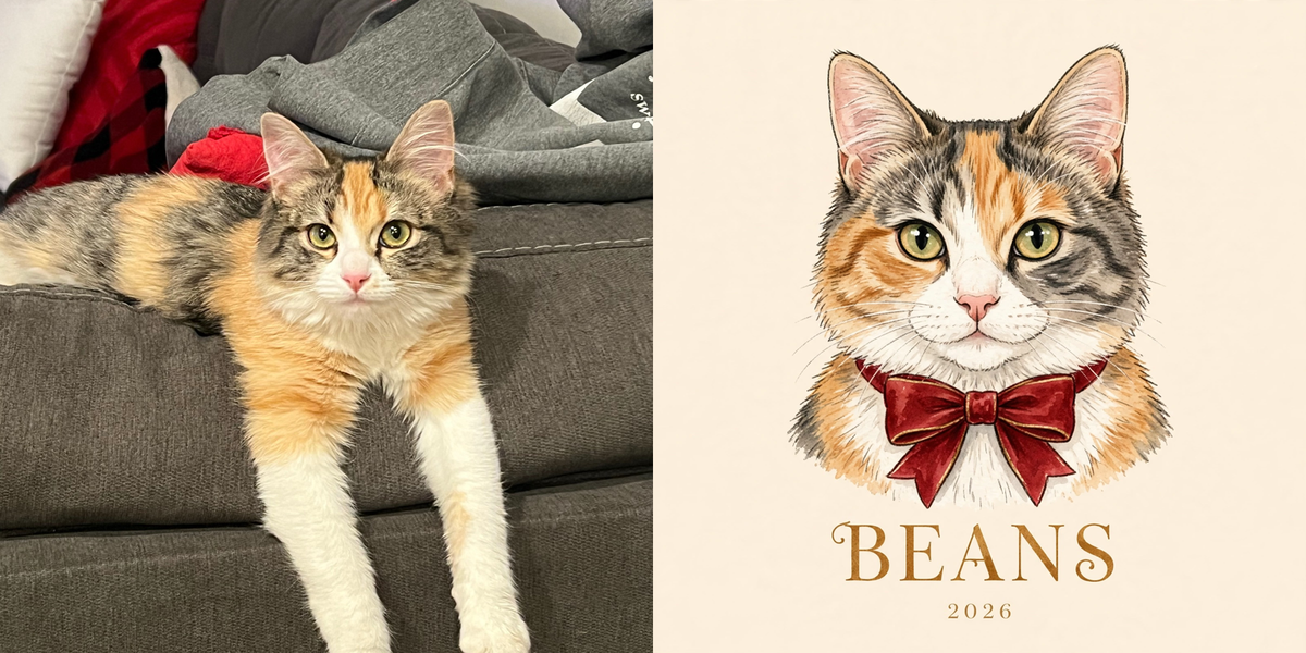 Beans — your photo and portrait