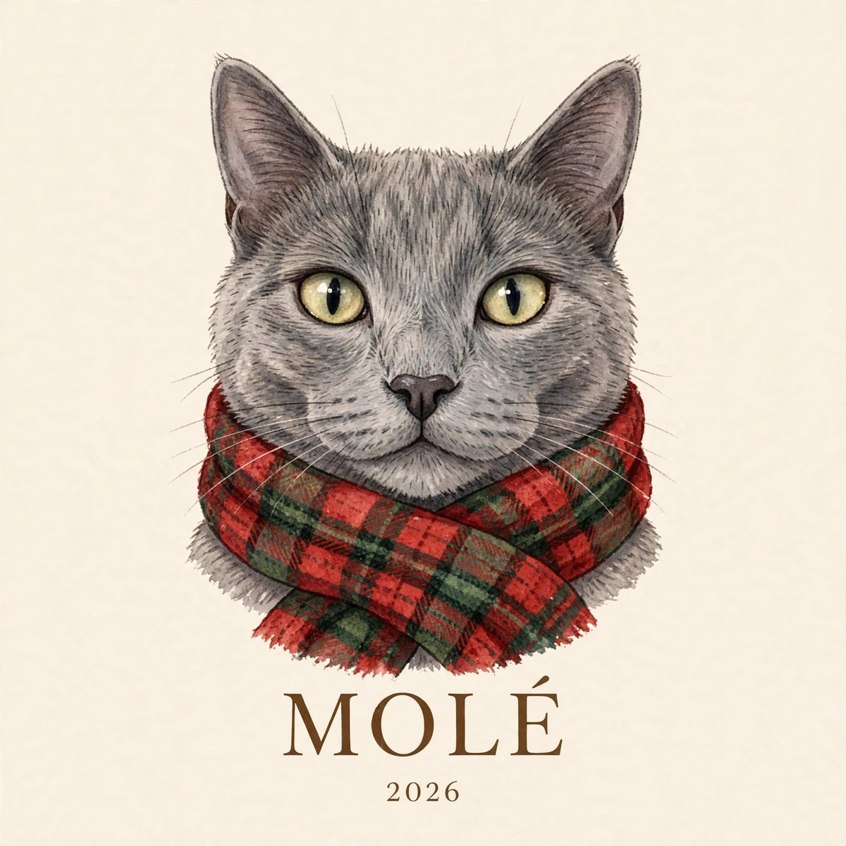 Custom Pet Portrait Ornament